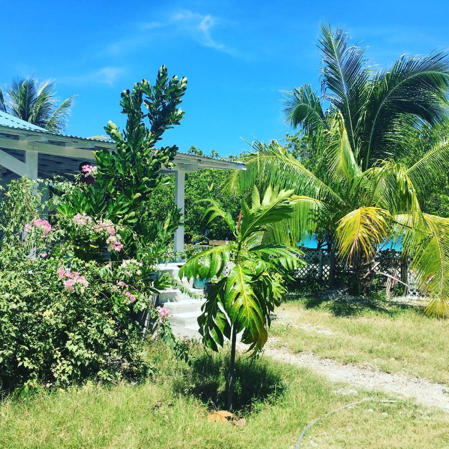 Le fare bleu Tiputa Rangiroa Apartment Bagian luar foto